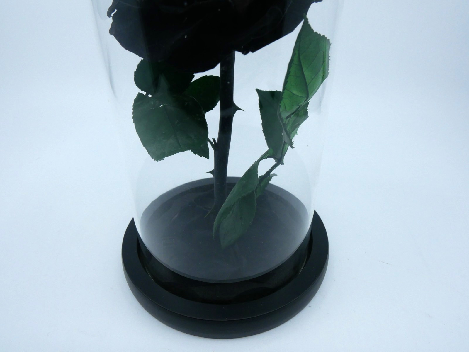 Perfectione Roses Black Rose Preserved Flowers
