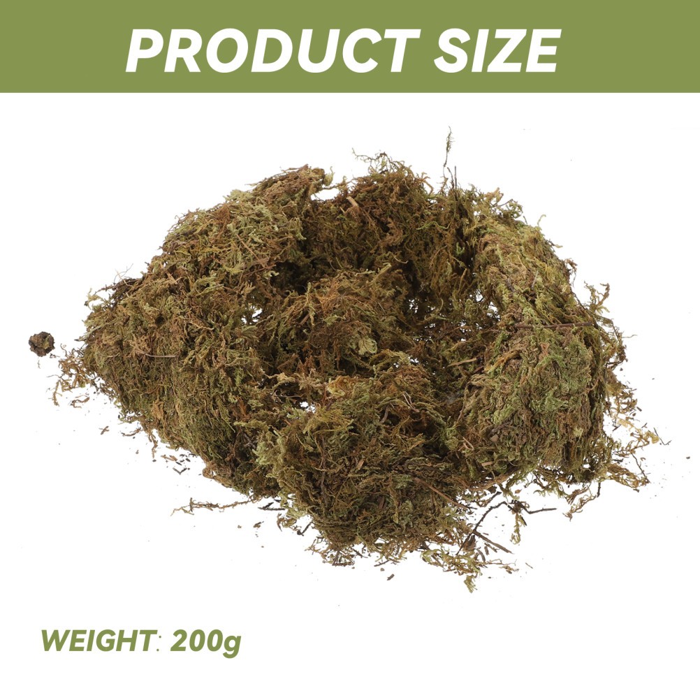 2 Packs Gardening Dried Moss Natural Moss for Flowerpot Moss Landscaping