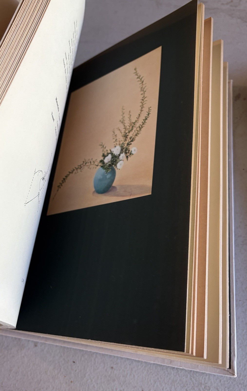 COLOURED PICTURES OF REPERESENTATIVE FLOWER ARRANGEMENTS BY SOFU JAPANESE 1953