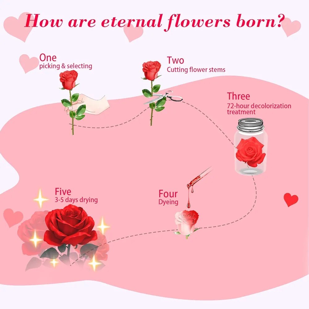 Valentine’s Day Gifts for Her Preserved Real Flowers Eternal Rose in Glass Dome