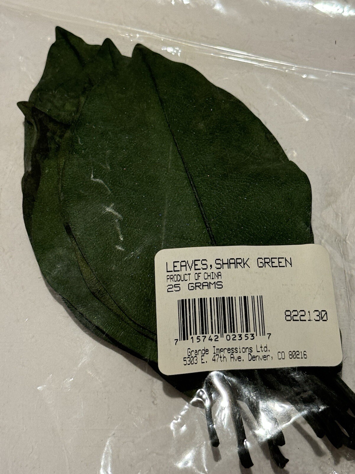 Grand Impressions Dried Florals Leaves Leaf Shark Green 822130 Wedding Craft NEW