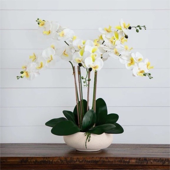 23” Artificial Phalaenopsis Orchid Arrangement in Ceramic Planter (Real Touch)