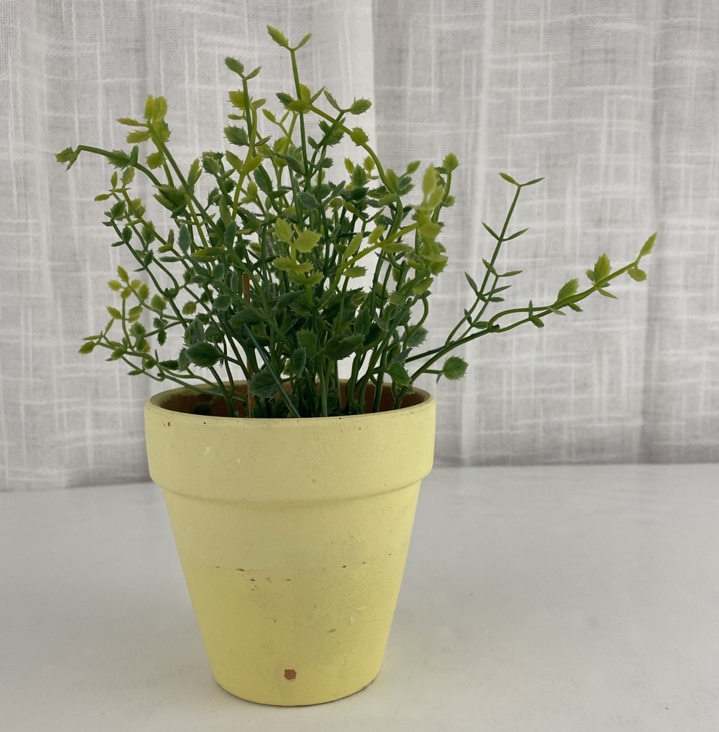 Artificial Plant Oregano Yellow Terracotta Clay Flower Pot Home Herb Indoor