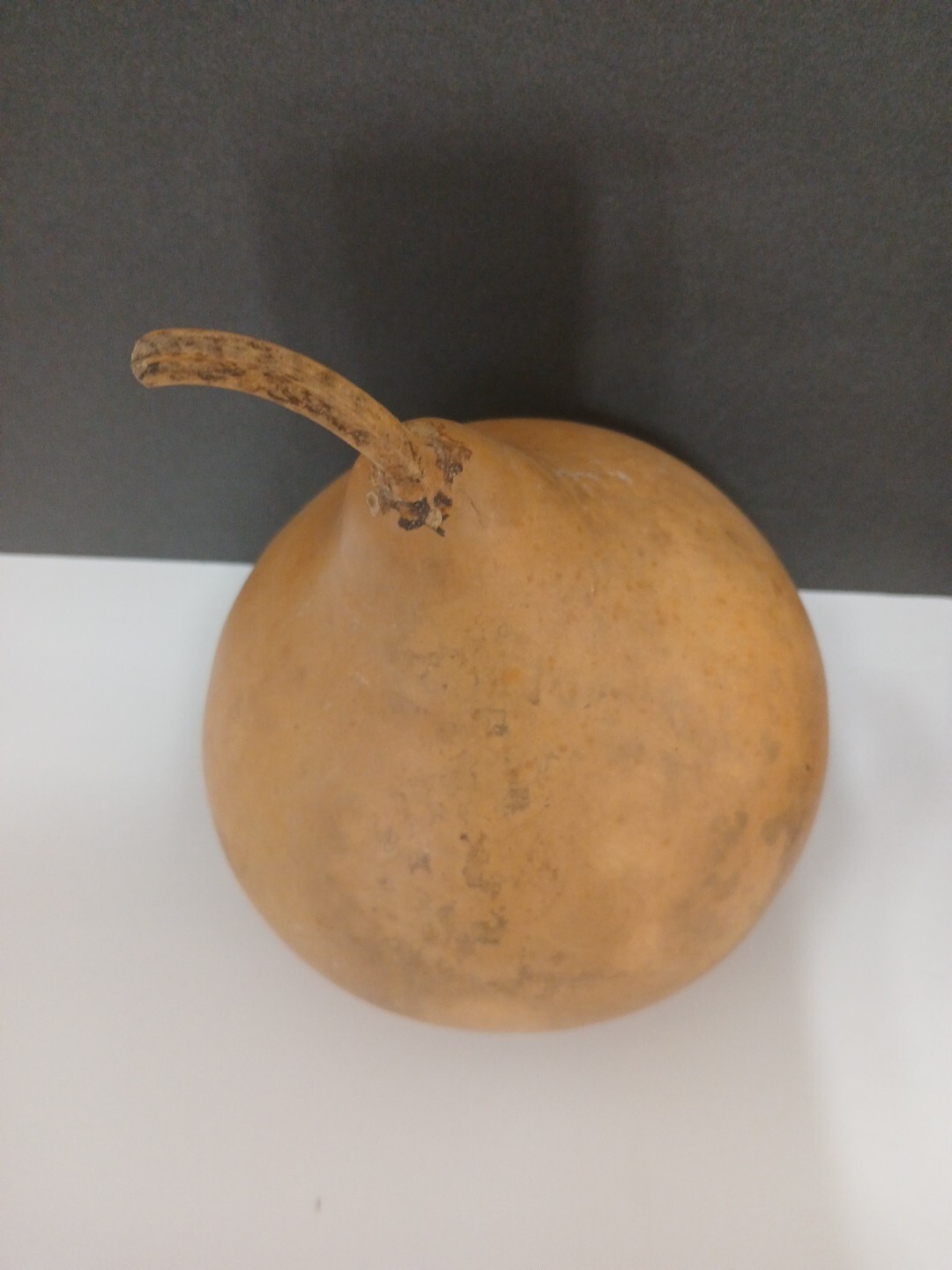 Organic Natural Calabash With Seeds Decorative Pieces 2