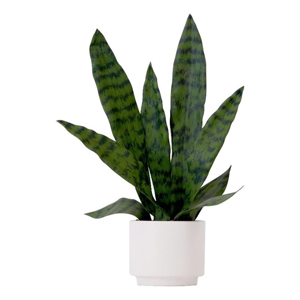 Nearly Natural 16″ Artificial Sansevieria Snake Plant with Decorative Planter