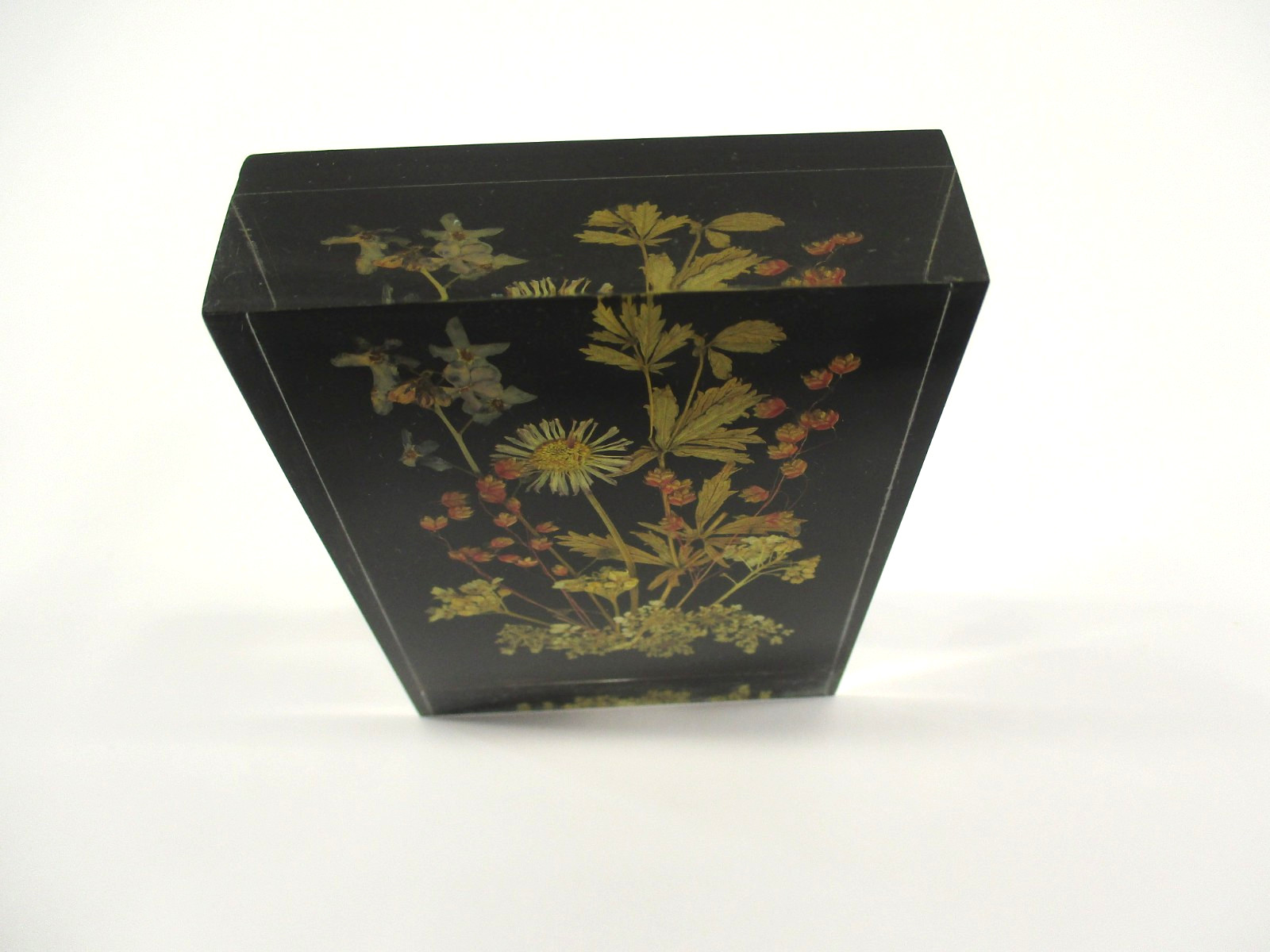 Vtg Lucite Pressed Dried Flowers DINA-Brilliant #1710 10×7 cm W. Germany Picture