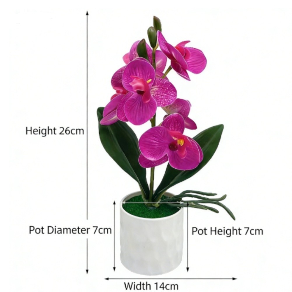 Set of Two Potted Phalaenopsis Orchids Six Artificial Flowers for Festive Decor