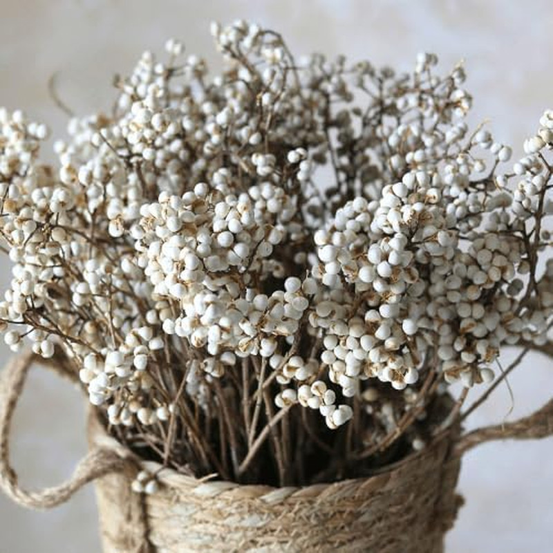 220g Tallow Berries Dried Christmas Decor- 17″ Natural Stem Wedding Floral Decor