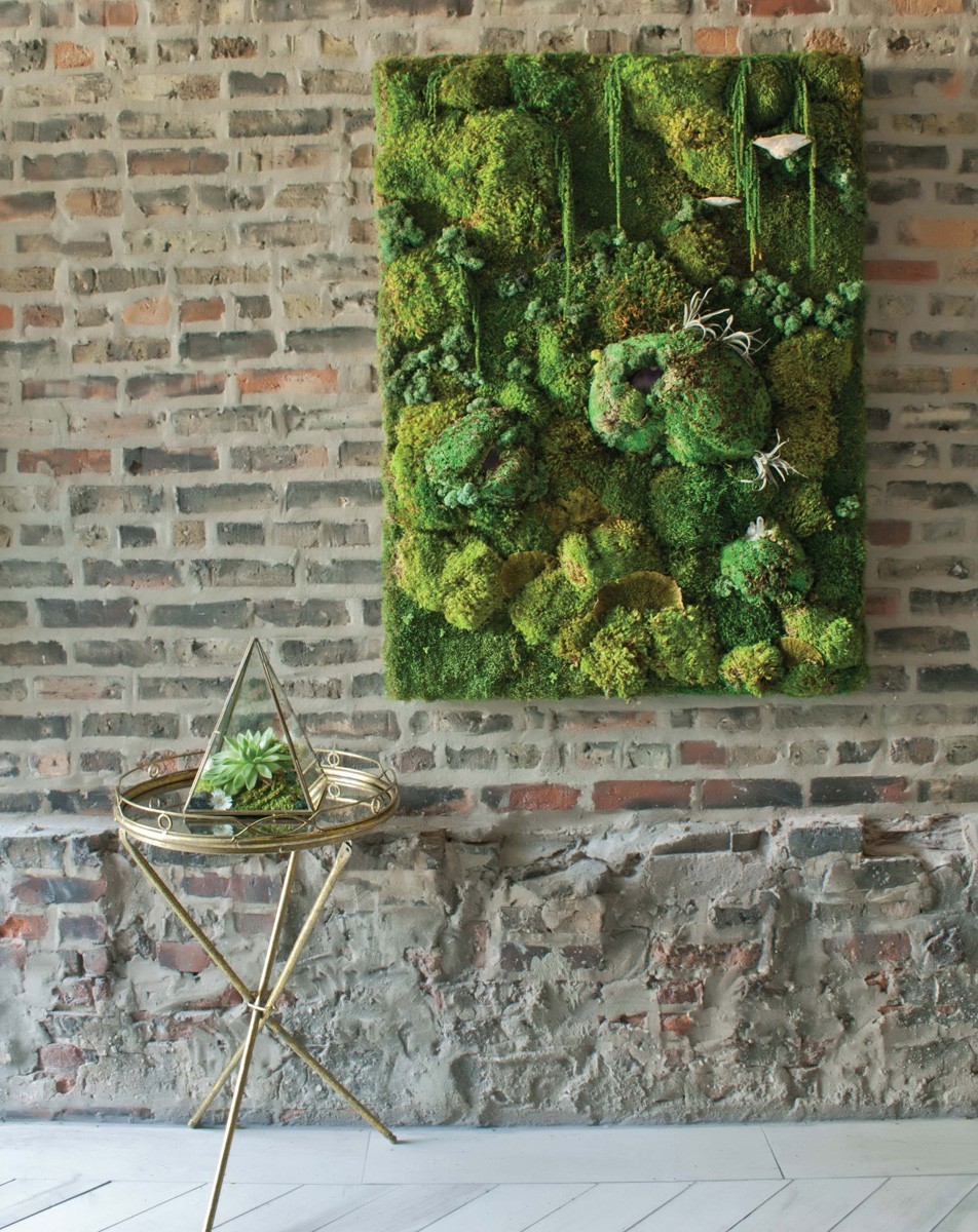 Reindeer Lichen Moss Terrariums Living Wall Railroad Scenery LOT x5 Chartreuse