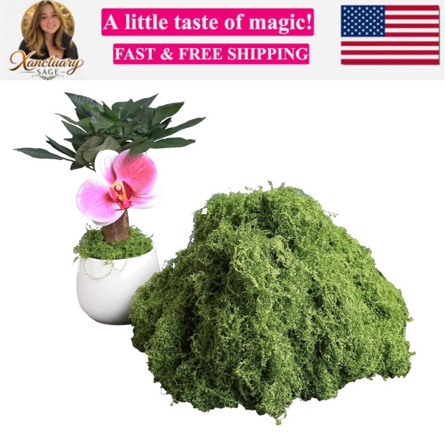 5.3oz Green Fake Moss Artificial Floral Moss Faux Plant for DIY Crafts Fairy …