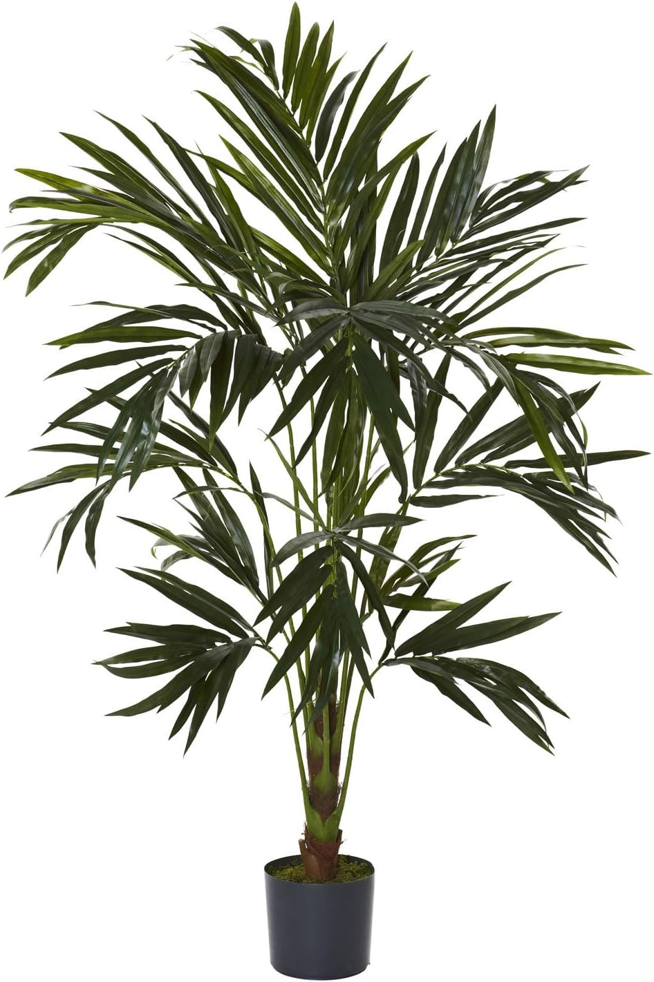 Lifelike 6Ft Kentia Silk Tree – Perfect for Home or Office Decor