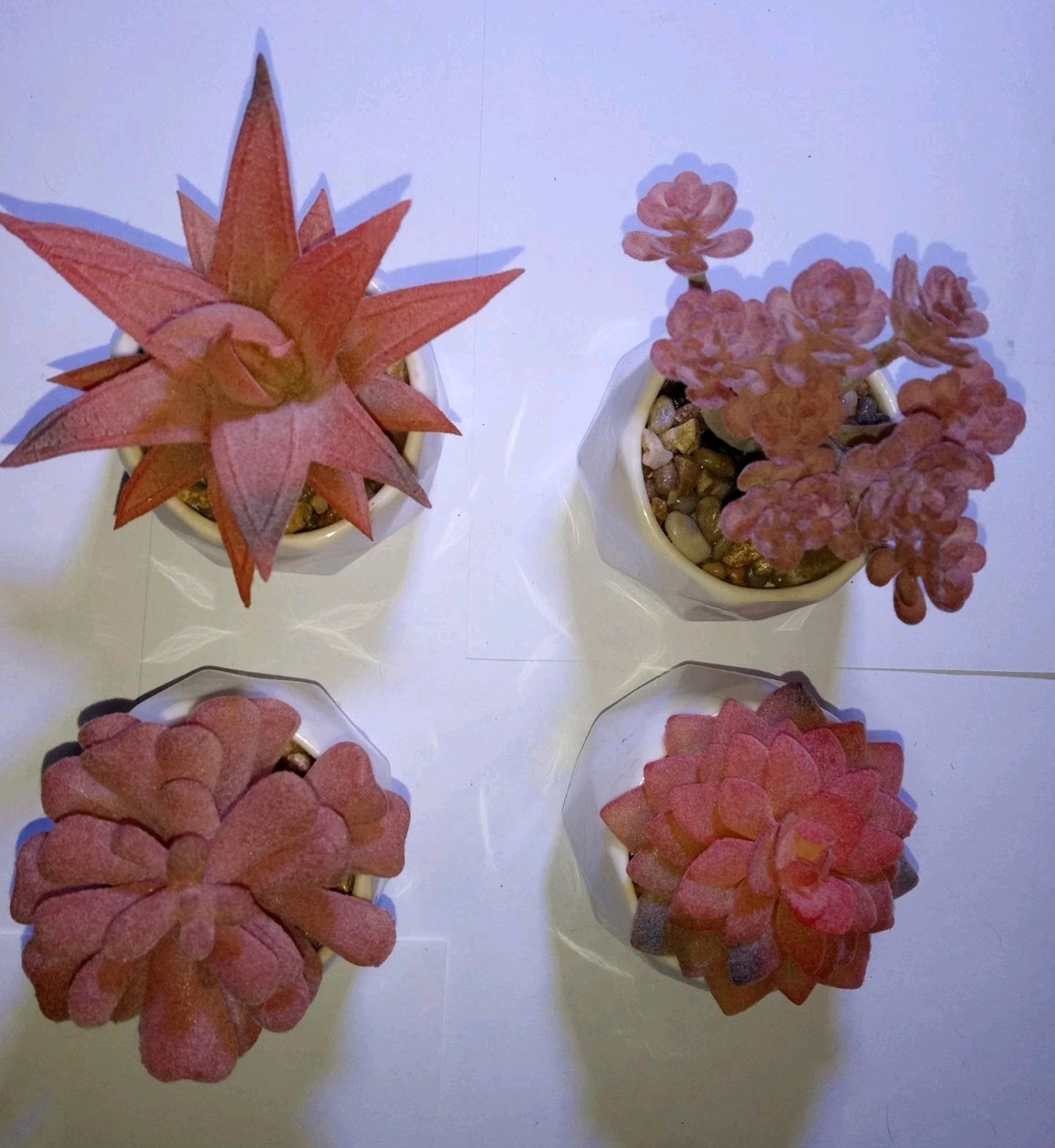 Faux Mini Pink Succulents In Ceramic Pots Set Of 4 Office, Home Decor