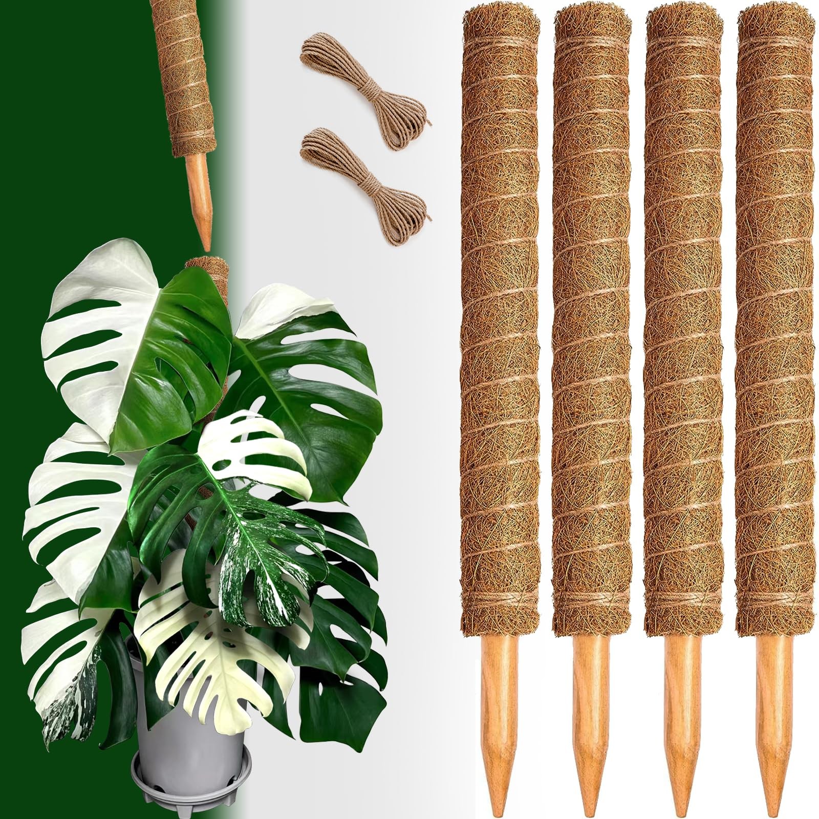 CHIAFFI Moss Poles 4 Pack 22in