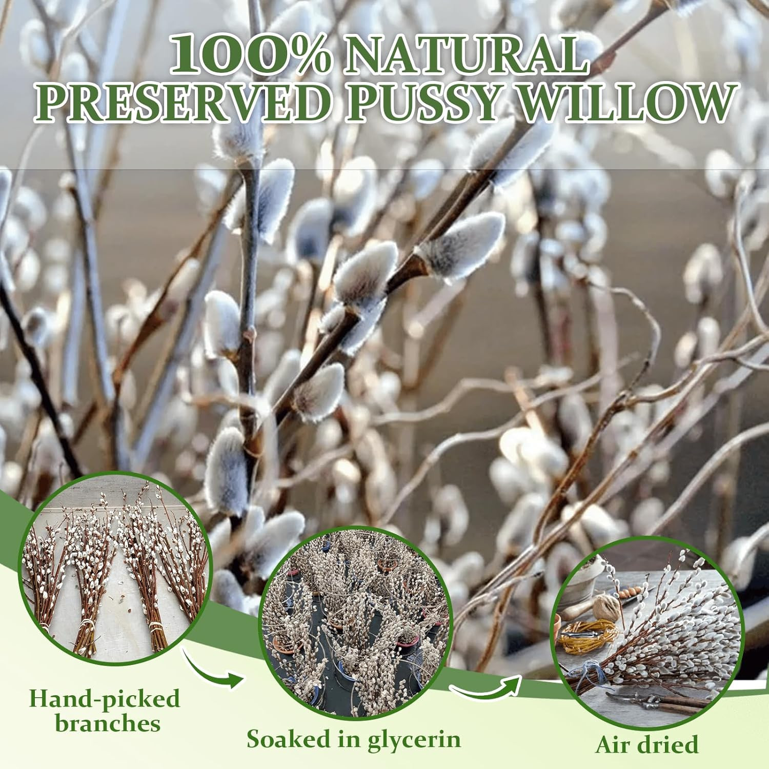 Oning 30 Stems Real Dried Pussywillow Preserved Greenery Branches for Vase- Natu