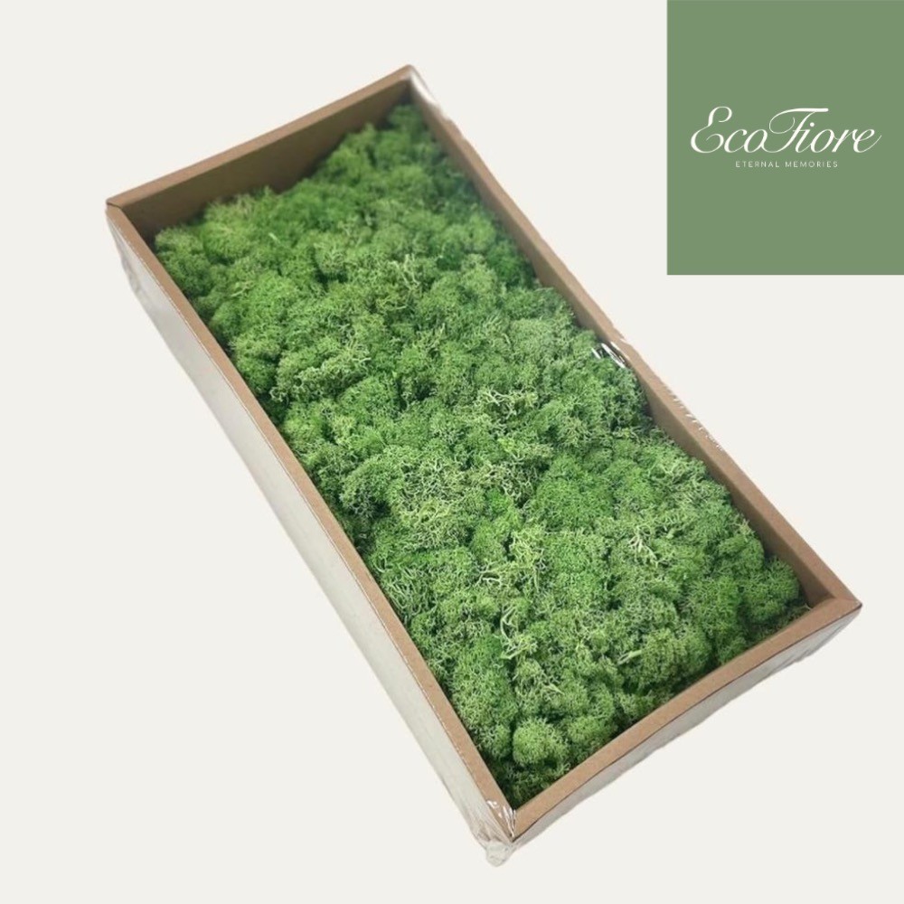 Moss Preserved DARK GREEN – Fairy Gardens Terrariums, Craft, DIY, Floral 1Kg