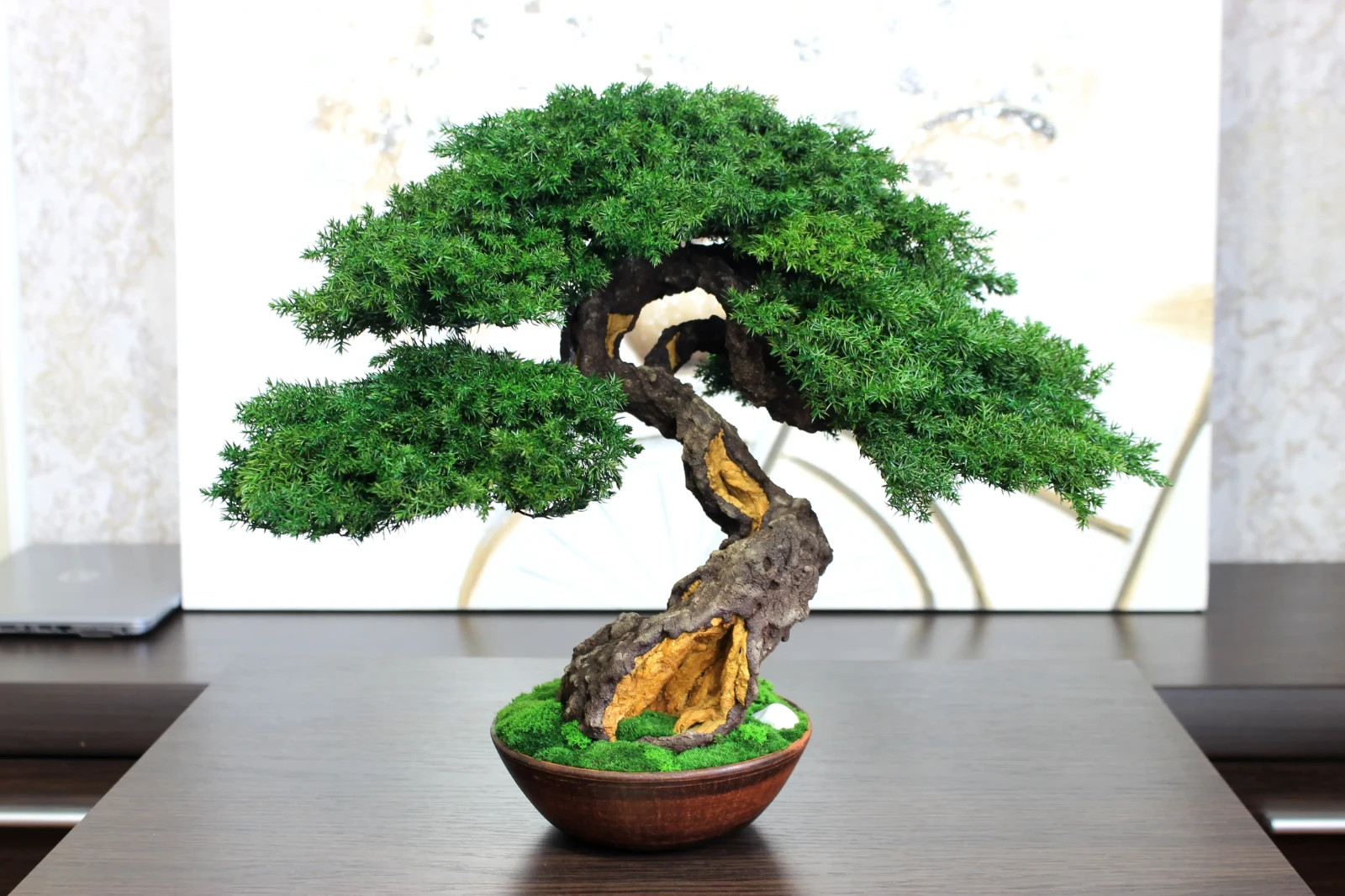 Exclusive Preserved Juniper Bonsai – Interior Art Sculpture. 37 cm / 14,6″