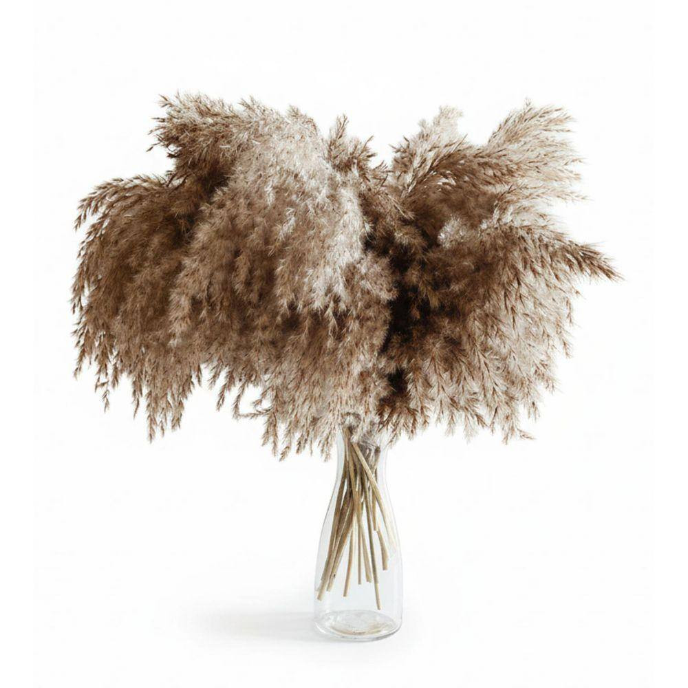 0 in Boho Brown Pampas Grass Artificial Plant 17.7 In. Brown Color Family 30 Pcs
