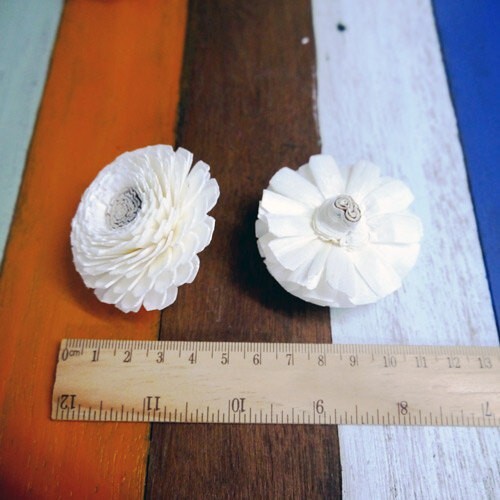 15 Zinnia Sola Wood Diffuser Flowers 5 cm Dia. with Cotton Rope. for Decorate