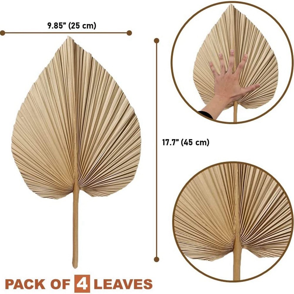4 Pieces Natural Dried Palm Leaves are Perfect for Palm Leaf Decor, Boho7049