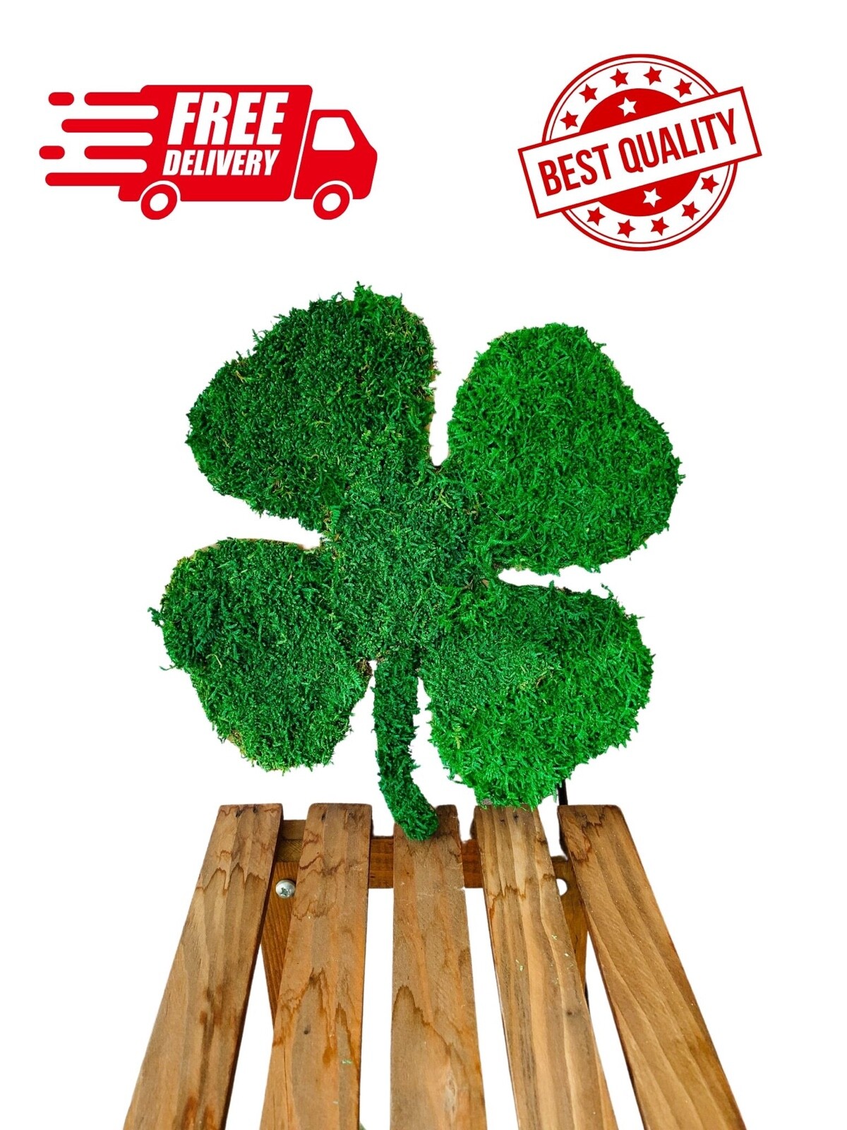 Moss Design , Green Preserved Moss , Clover Leaf Wall Art Home Decor Wall Live