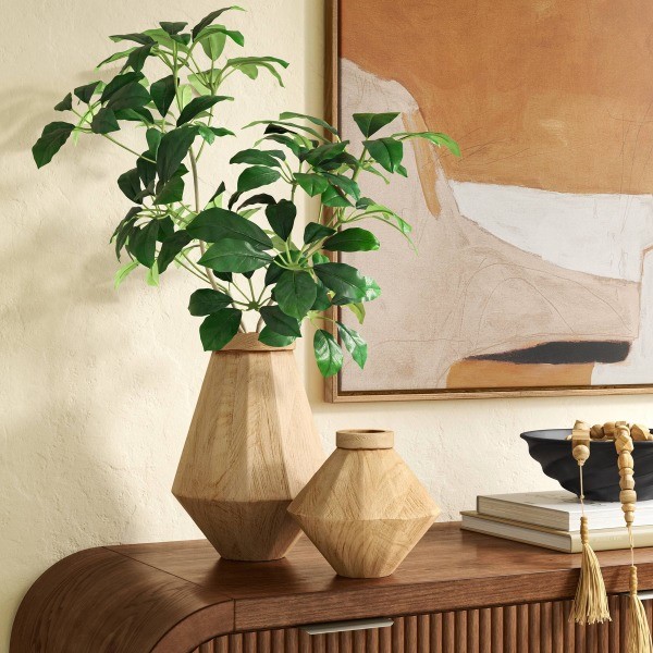 Schefflera Leaf Branch – Threshold