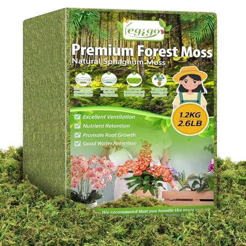 Green Moss for Crafts, Real Forest Moss for Plants Indoor, Table 2.6 LBS