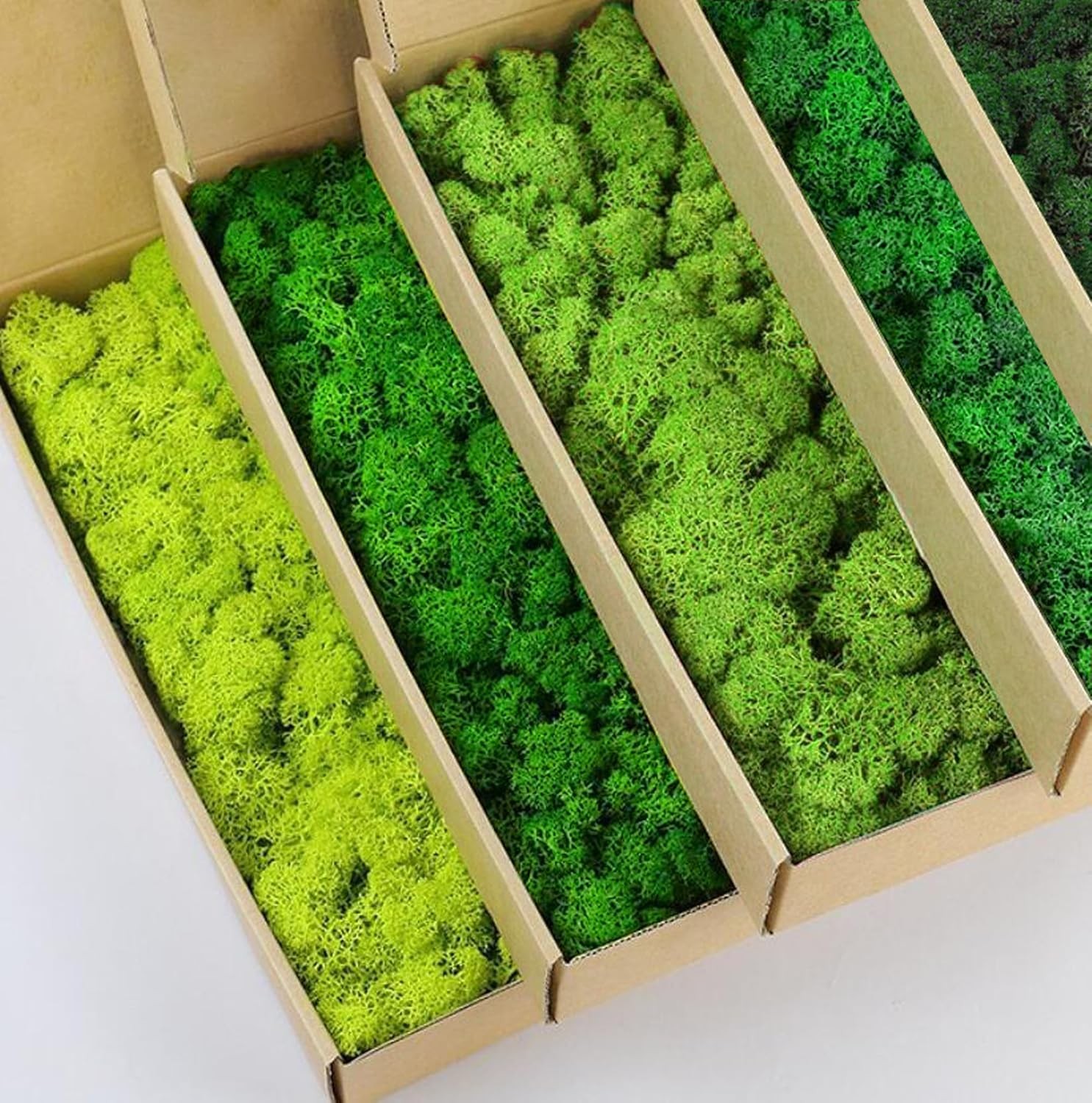 Natural Reindeer Moss DIY Kit 1 lb Color Mix Green Wall Decor Artificial