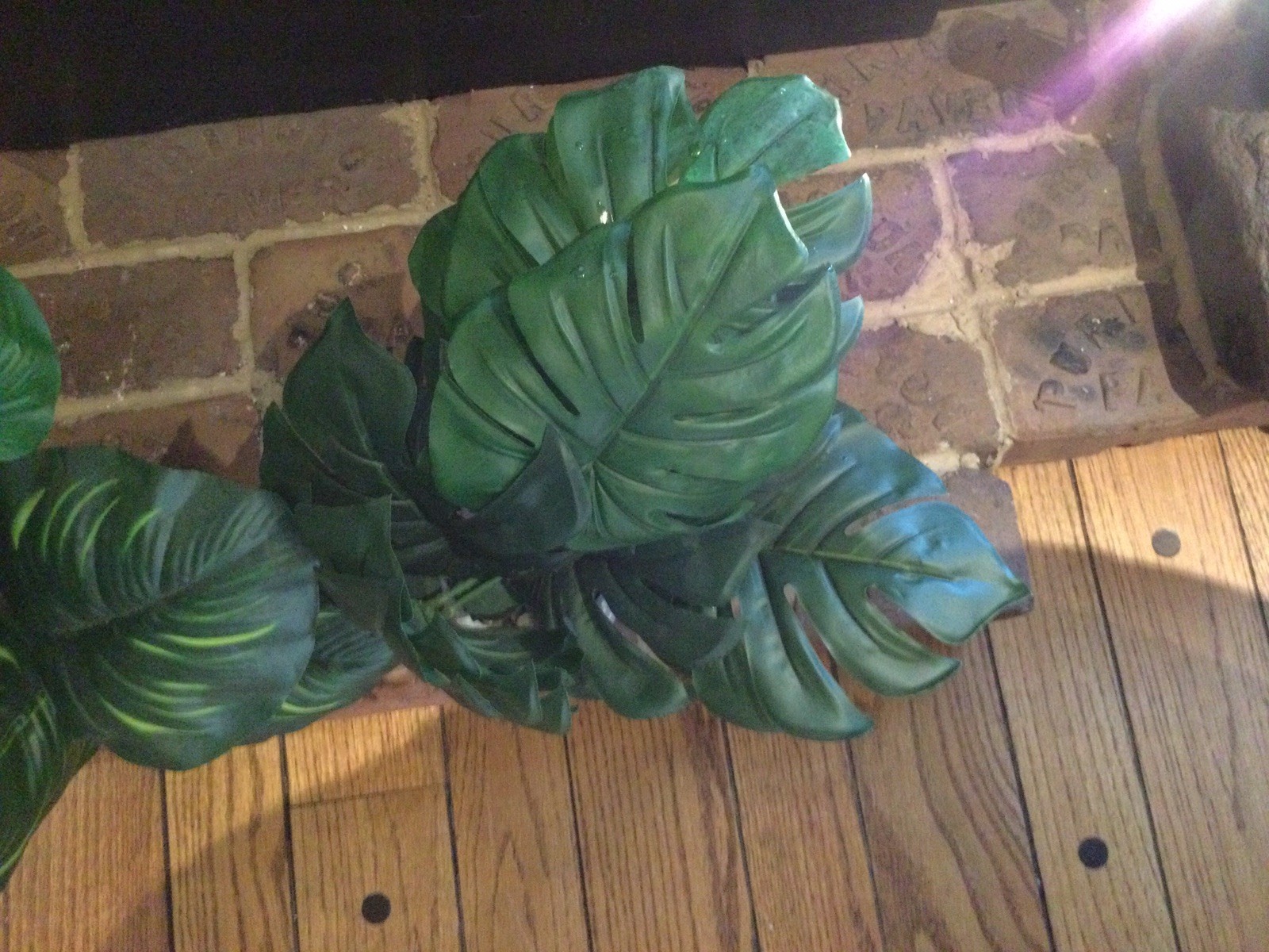 2 Small Artificial Fake Faux Plants➕Pots➕Stones 🌱Monstera➕Apple Leaf 📏16” Tall