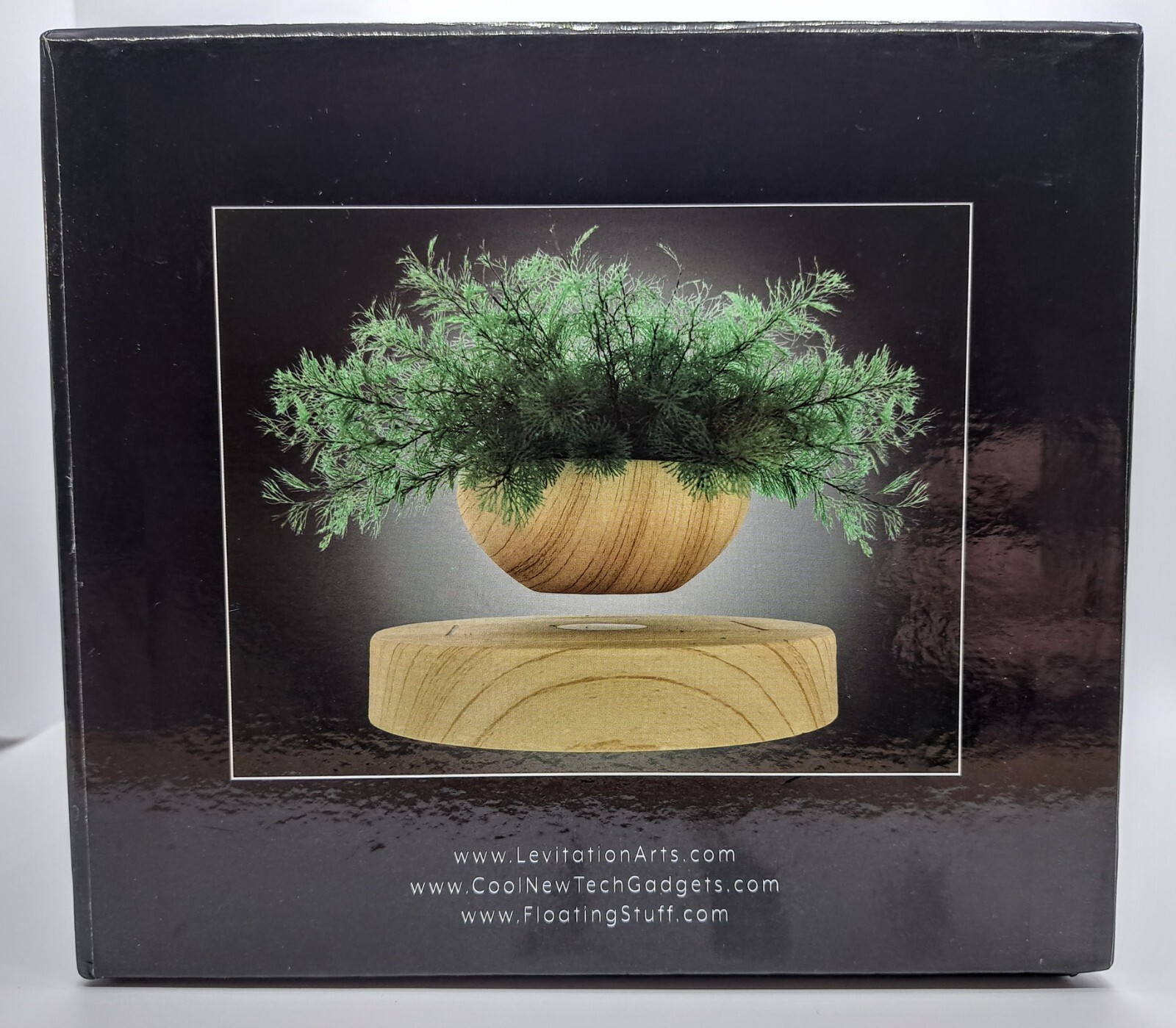 Levitating Plant Pot Fern Floating Air Bonsai Pot Suspension Flower Pot Plant