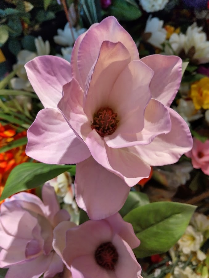 Magnolia stem bush LAVENDER