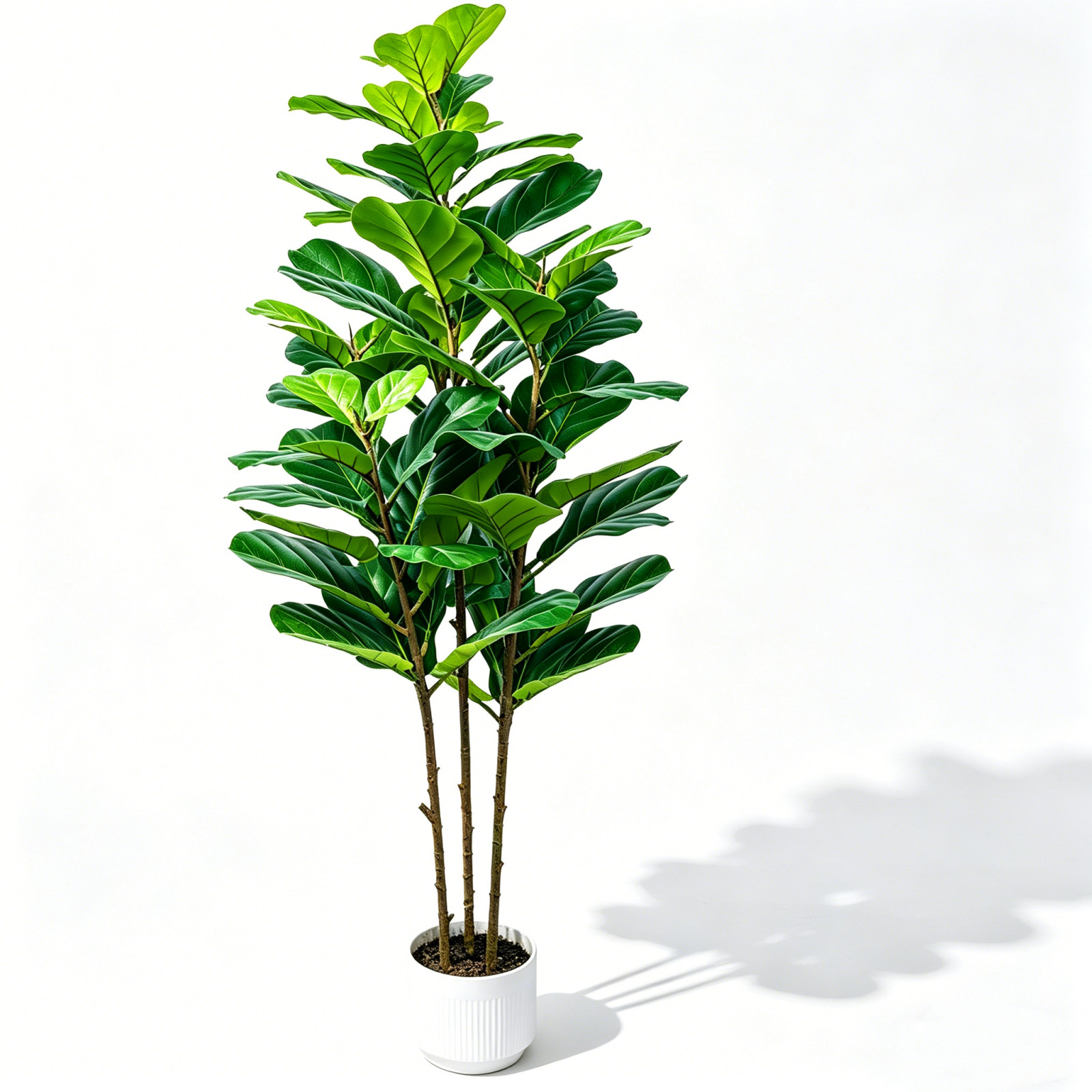 Generic Lifelike 5Ft Artificial Fig Tree No Watering Office Housewarming Gift US