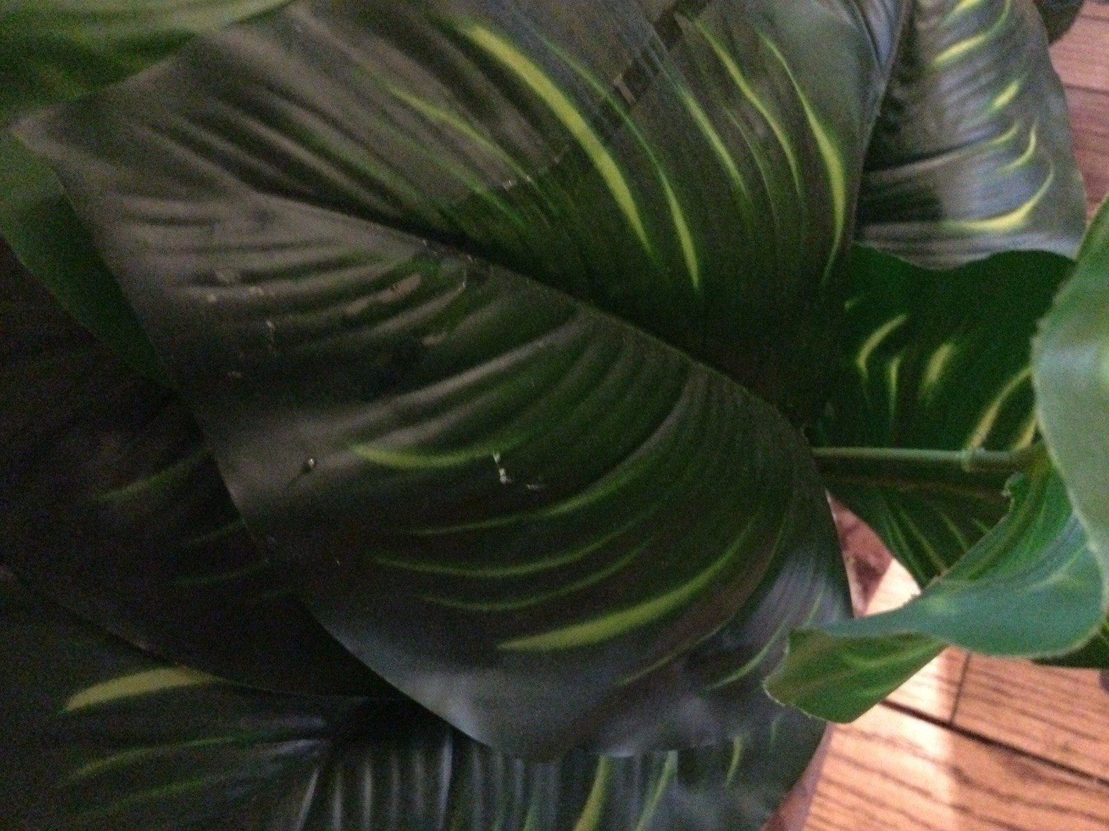 2 Small Artificial Fake Faux Plants➕Pots➕Stones 🌱Monstera➕Apple Leaf 📏16” Tall