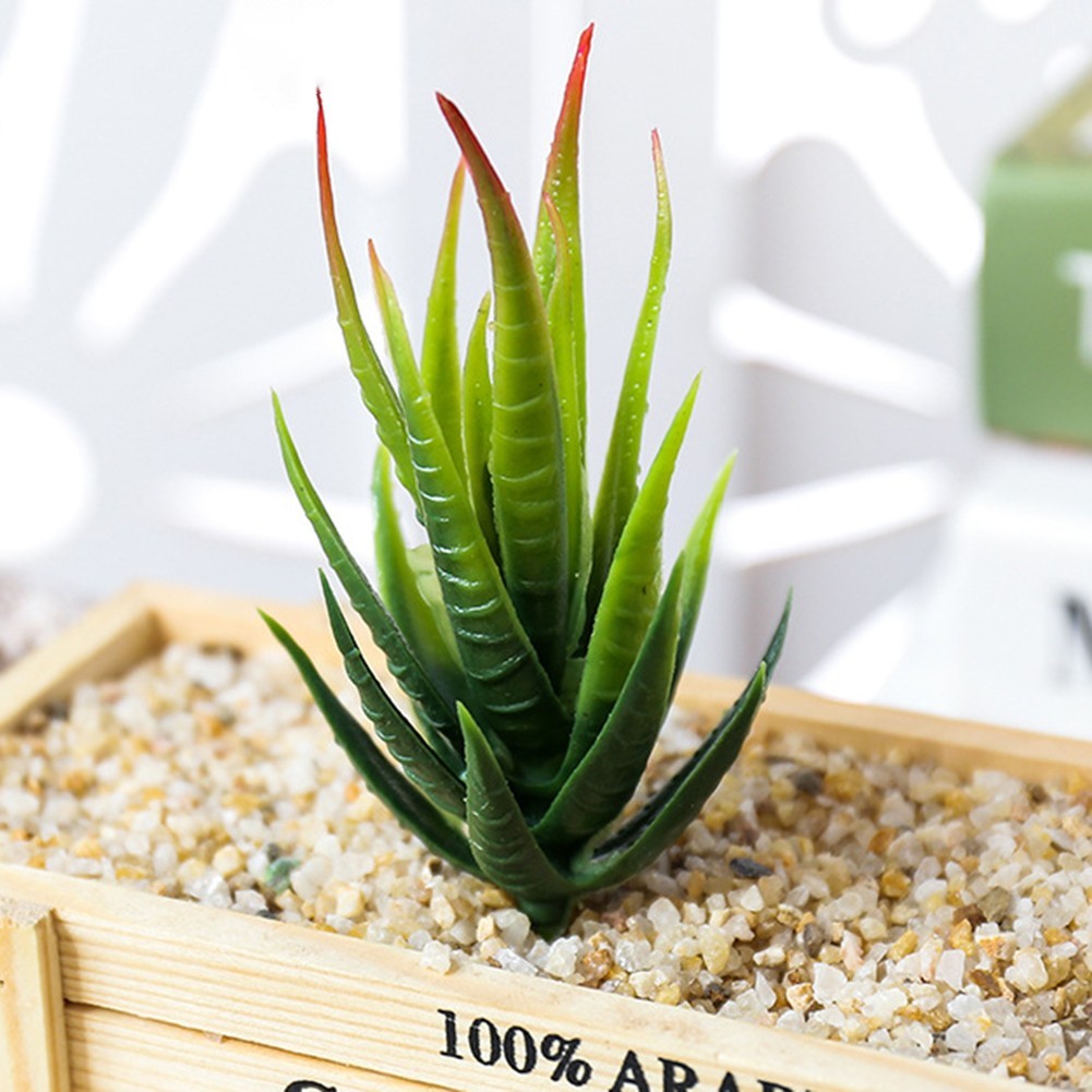 Fresh and Vibrant Artificial Aloe Plant Realistic Simulation Fake Flower