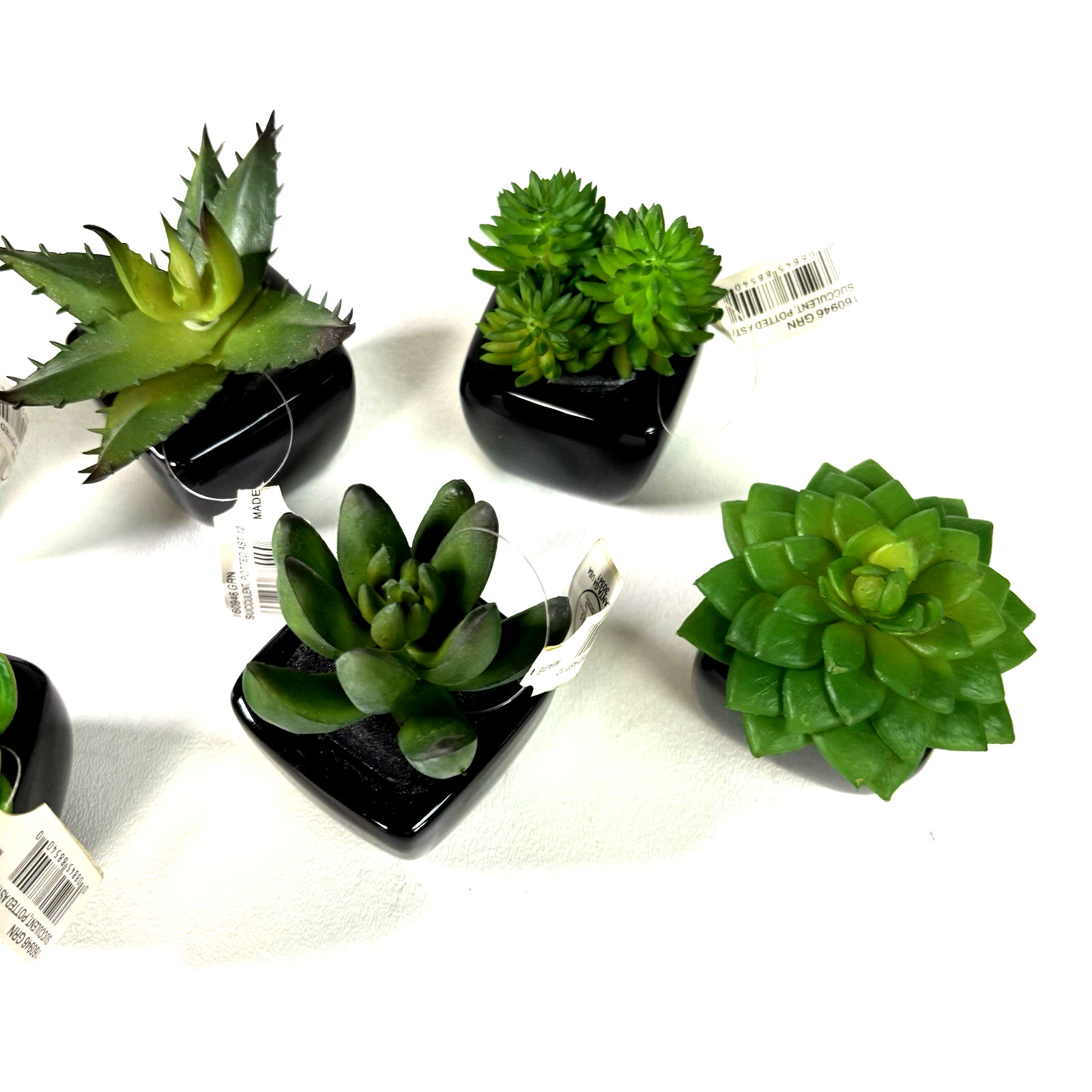 Set of 6 Artificial Mini Succulents in Black Ceramic Pots New With Tags