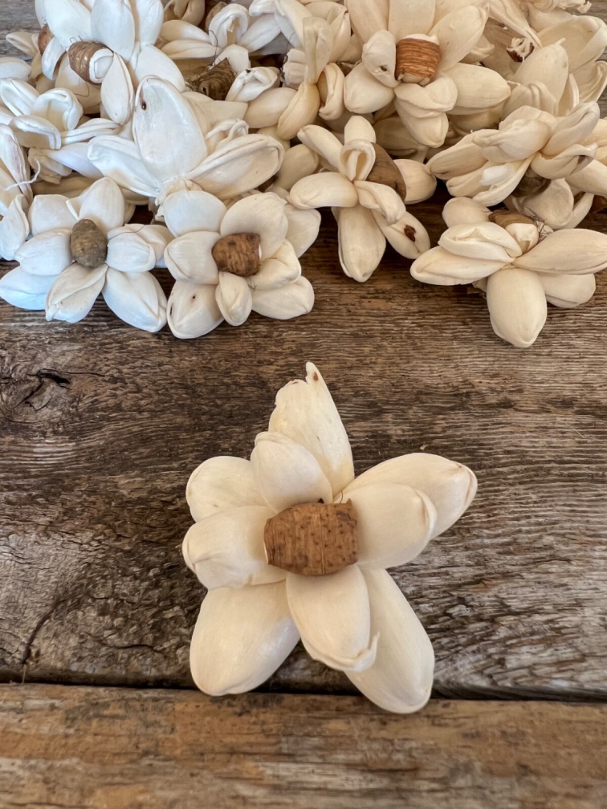 Mini Bark Daisy Sola Wood Flowers – Set of 50 – Craft Flowers