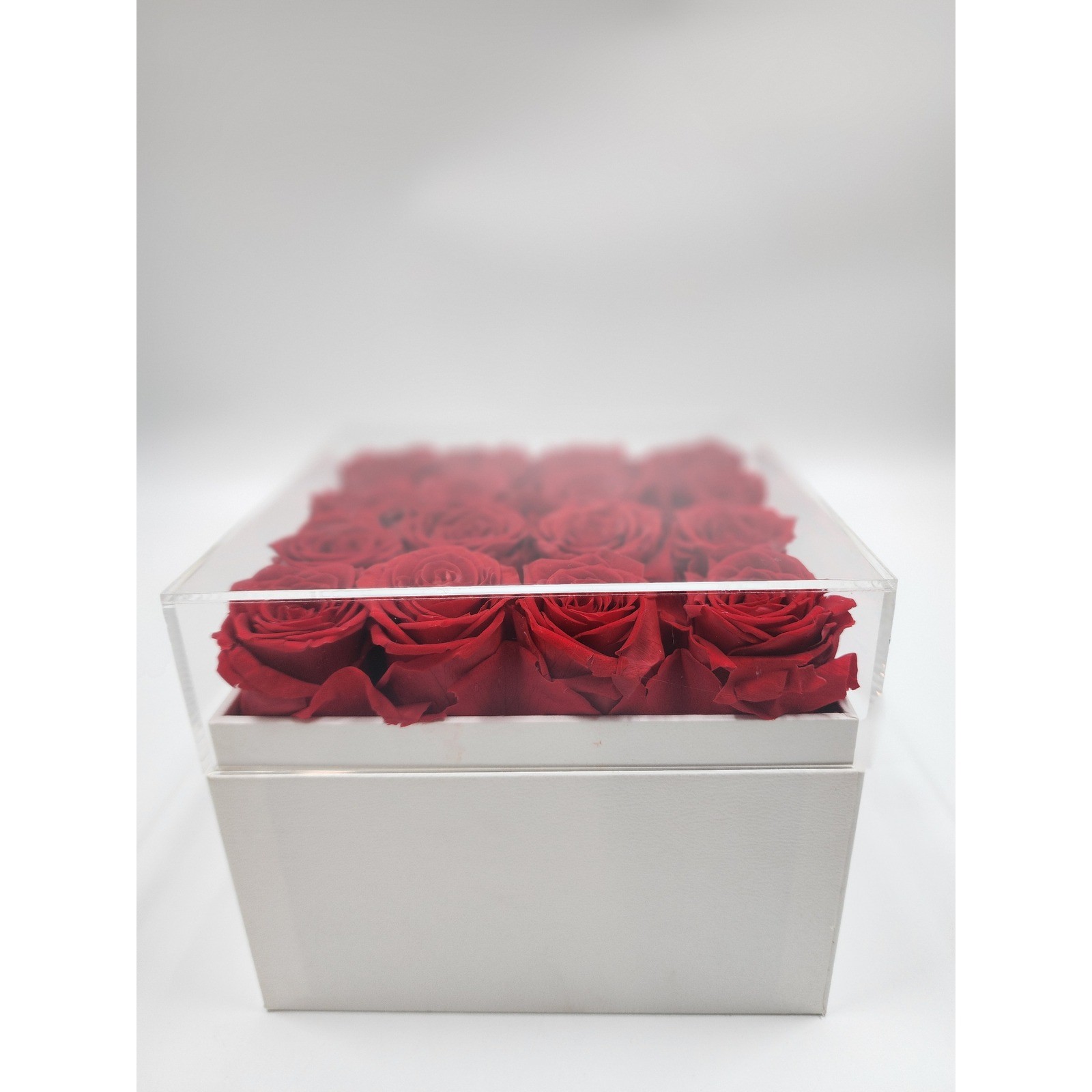 Eterfield Rose Preserved Red Roses in White Square Box with Acrylic Lid 16 Count