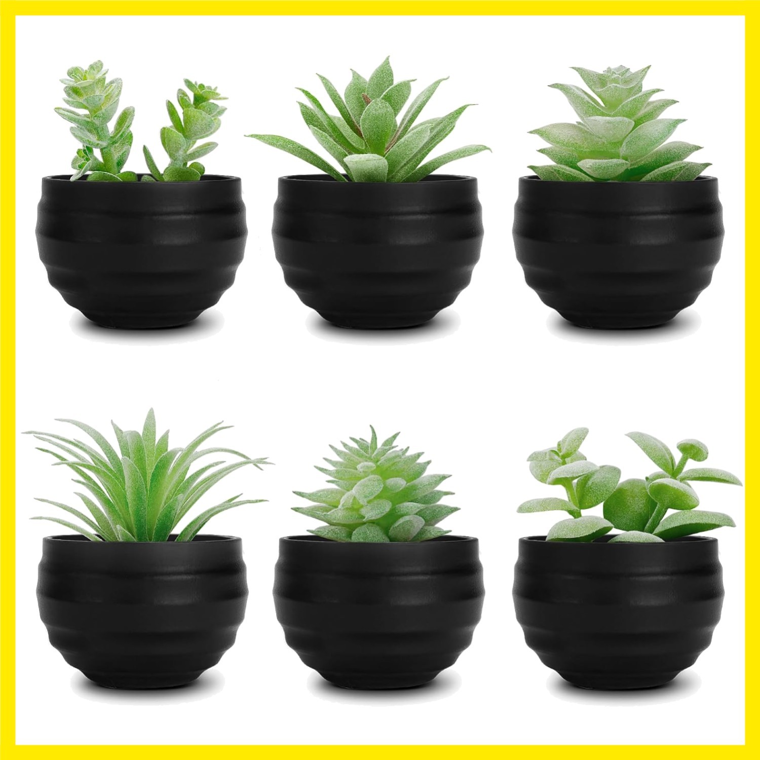 6 Pack Fake Succulents Plants in Black Pots for Halloween Decor | Varied real…