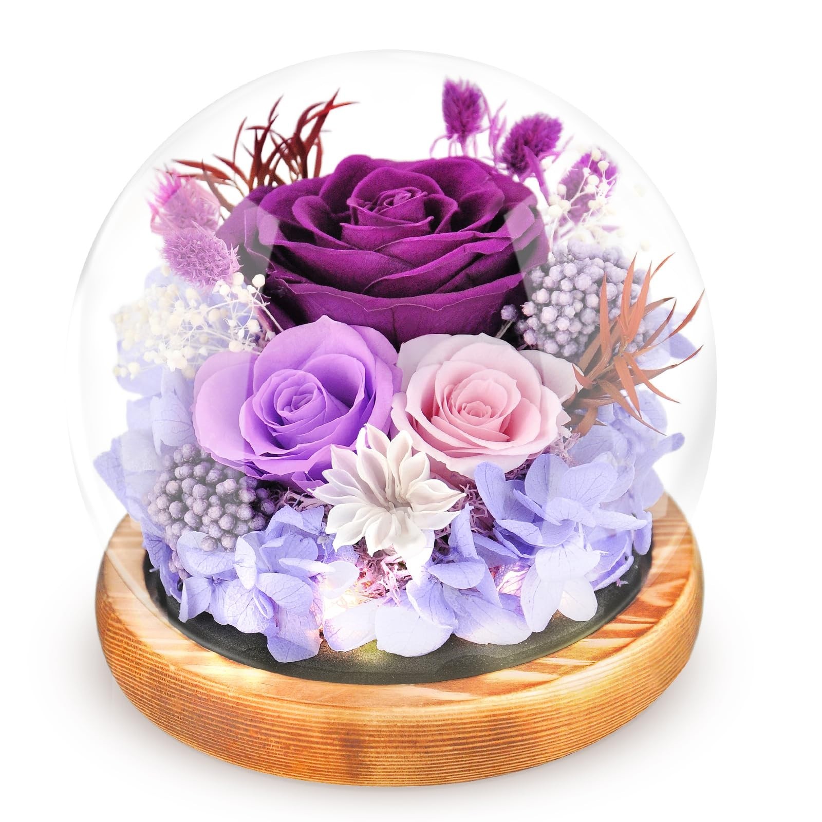 Eternal Rose in Glass Dome – Preserved Flowers with LED Light, Long-Lasting Gift