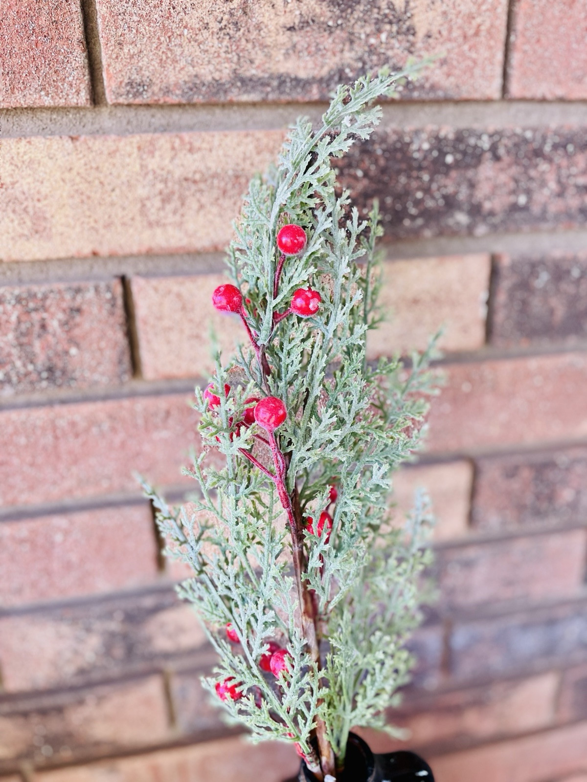 Snowy Cedar & Sugar Berry Spray