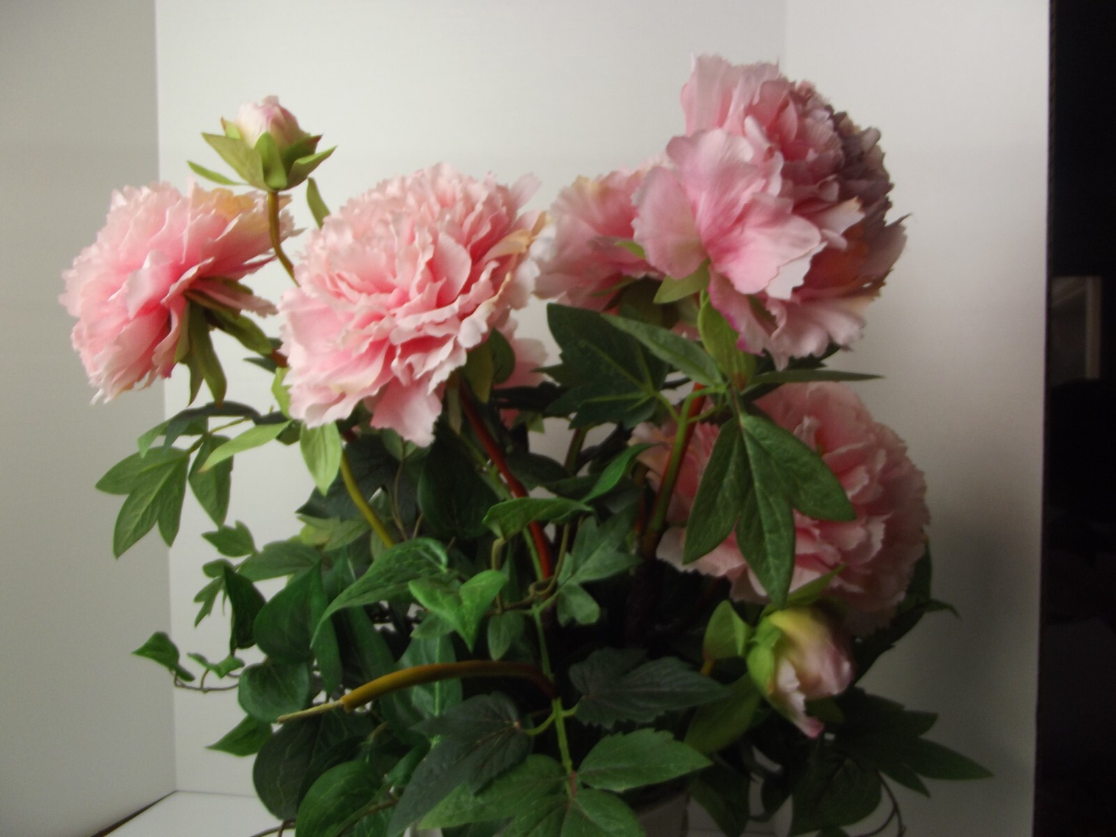 Disney Peony Peonies Disneyland Grand Hotel Artificial Silk Fake Flowers