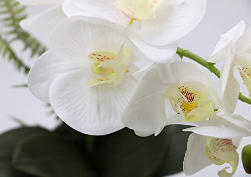 Olrla White Orchid Artificial Flower in Pot, Faux Phaleanopsis Orchid Bonsia for