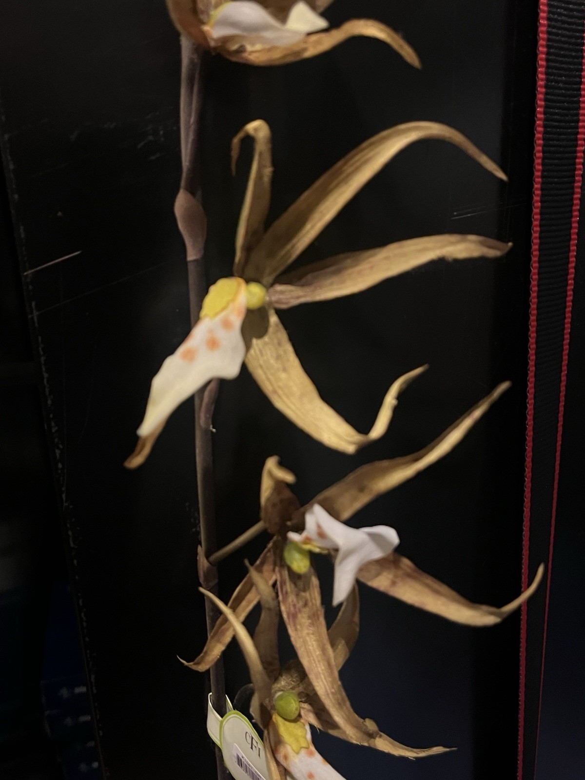 12 Stems Spider Lily Orchid 37″ Tall Green Yellow Artificial Flowers Decor