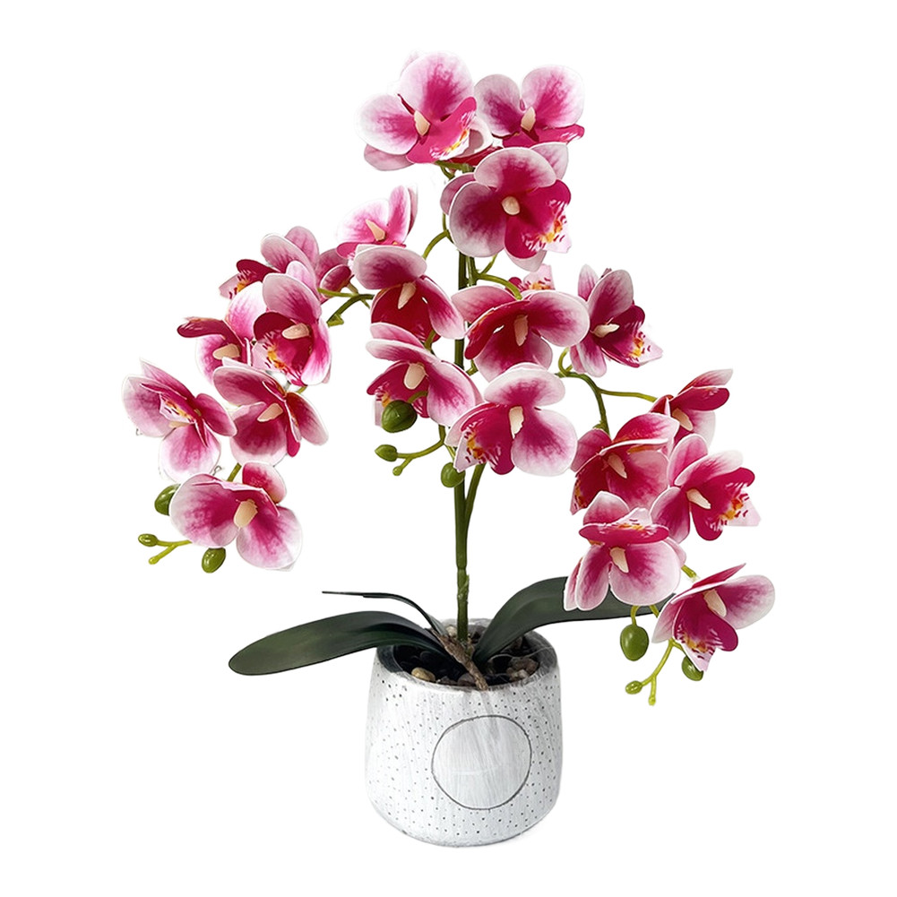 Synthetic Butterfly Orchid in Matte Cement Pot for Modern Farmhouse Decor Style