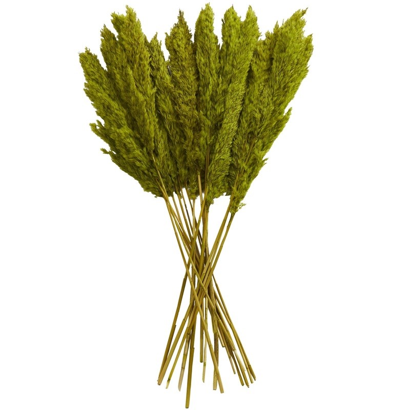 35″ Dried Pampas Grass Natural Foliage Bouquet Long Stems Indoor Decor Plant New