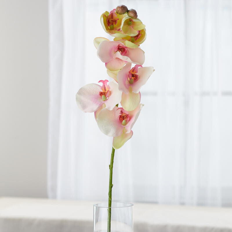 Package of 2 Artificial Pink Poly Silk Moth Orchid 32″ Floral Stems