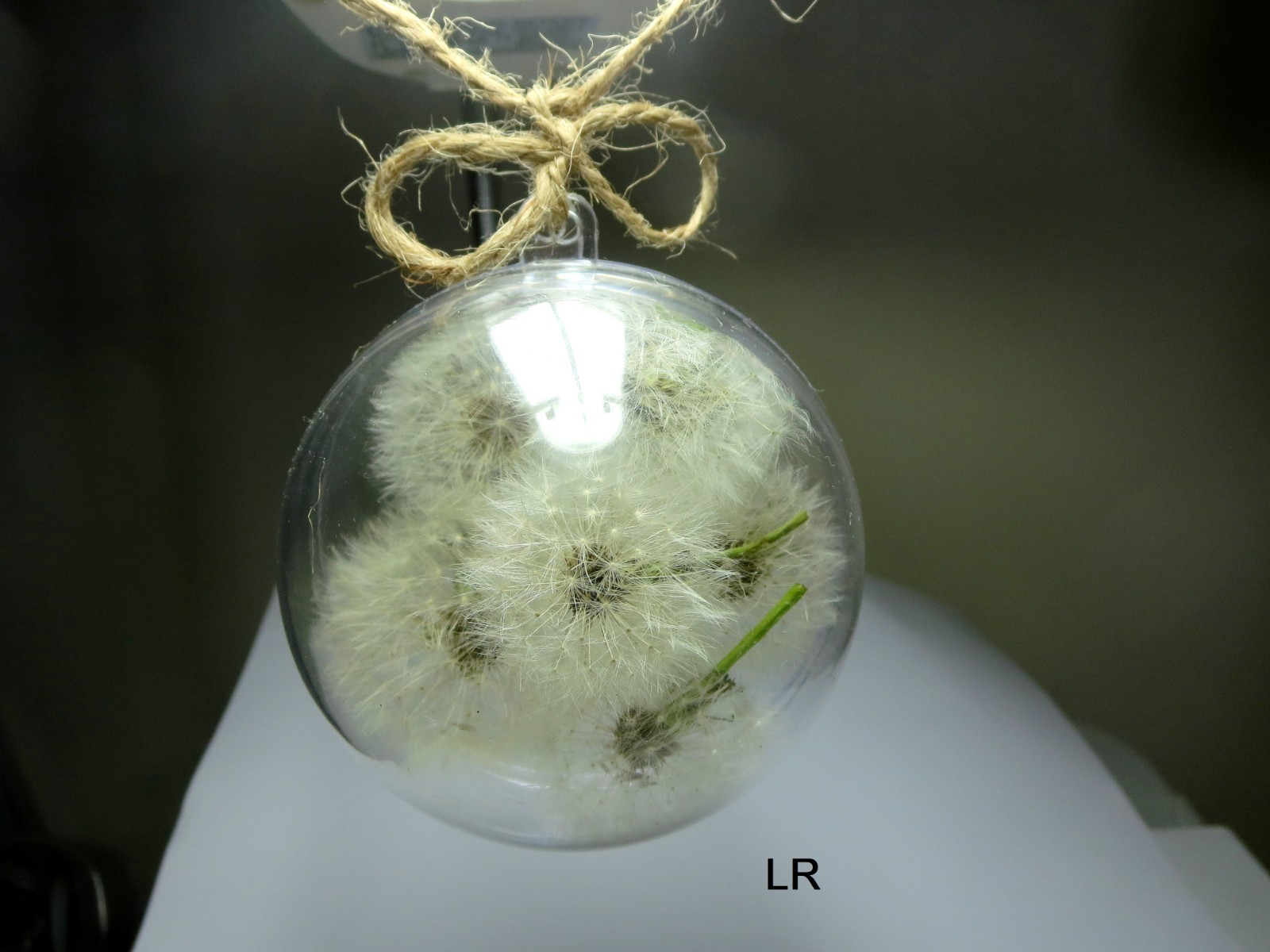 Dried Dandelion Art Dandelion Flower For Craft Dried Flowers decor Dandelions