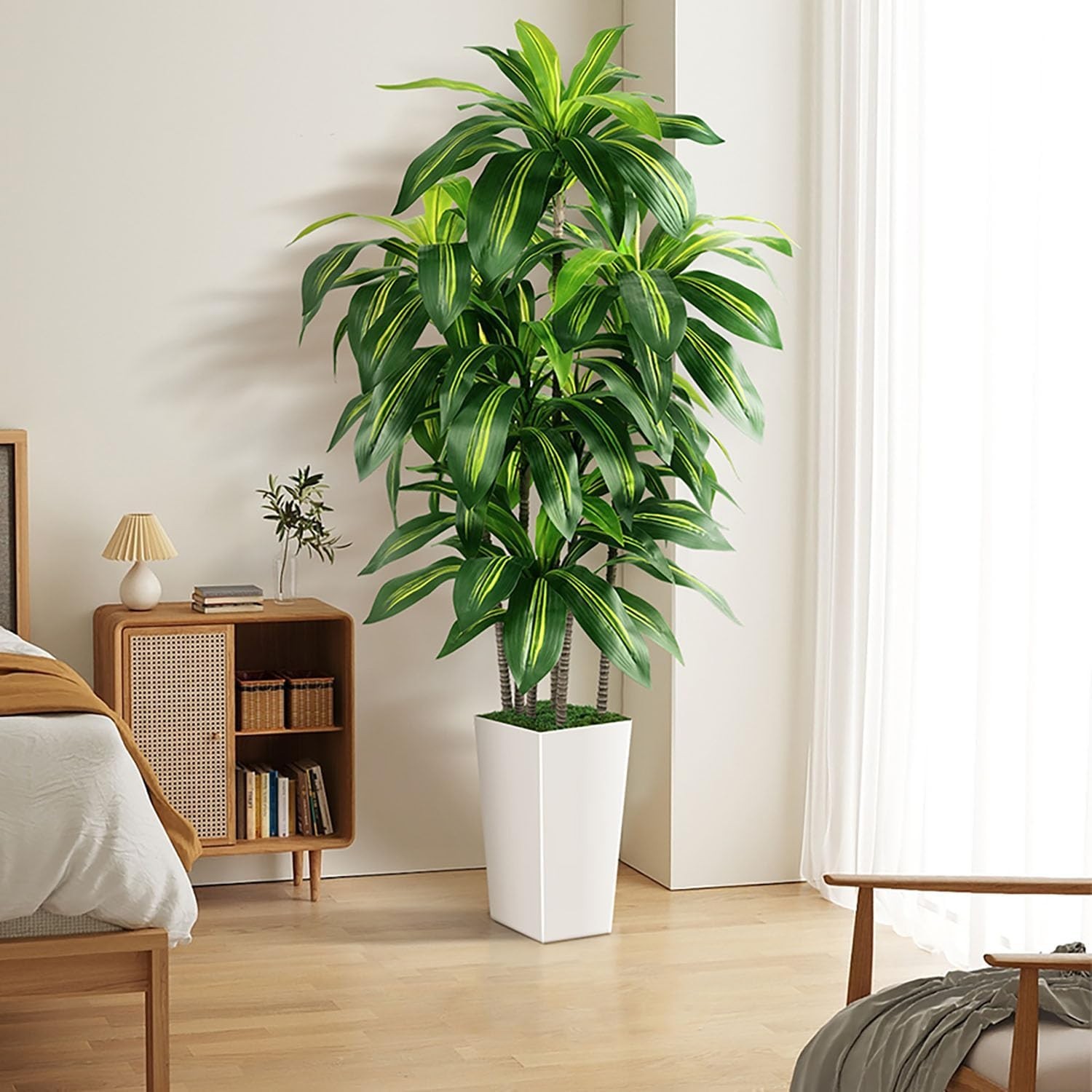 Elegant 5FT Dracaena Tree with White Planter – Perfect for Housewarming Gifts