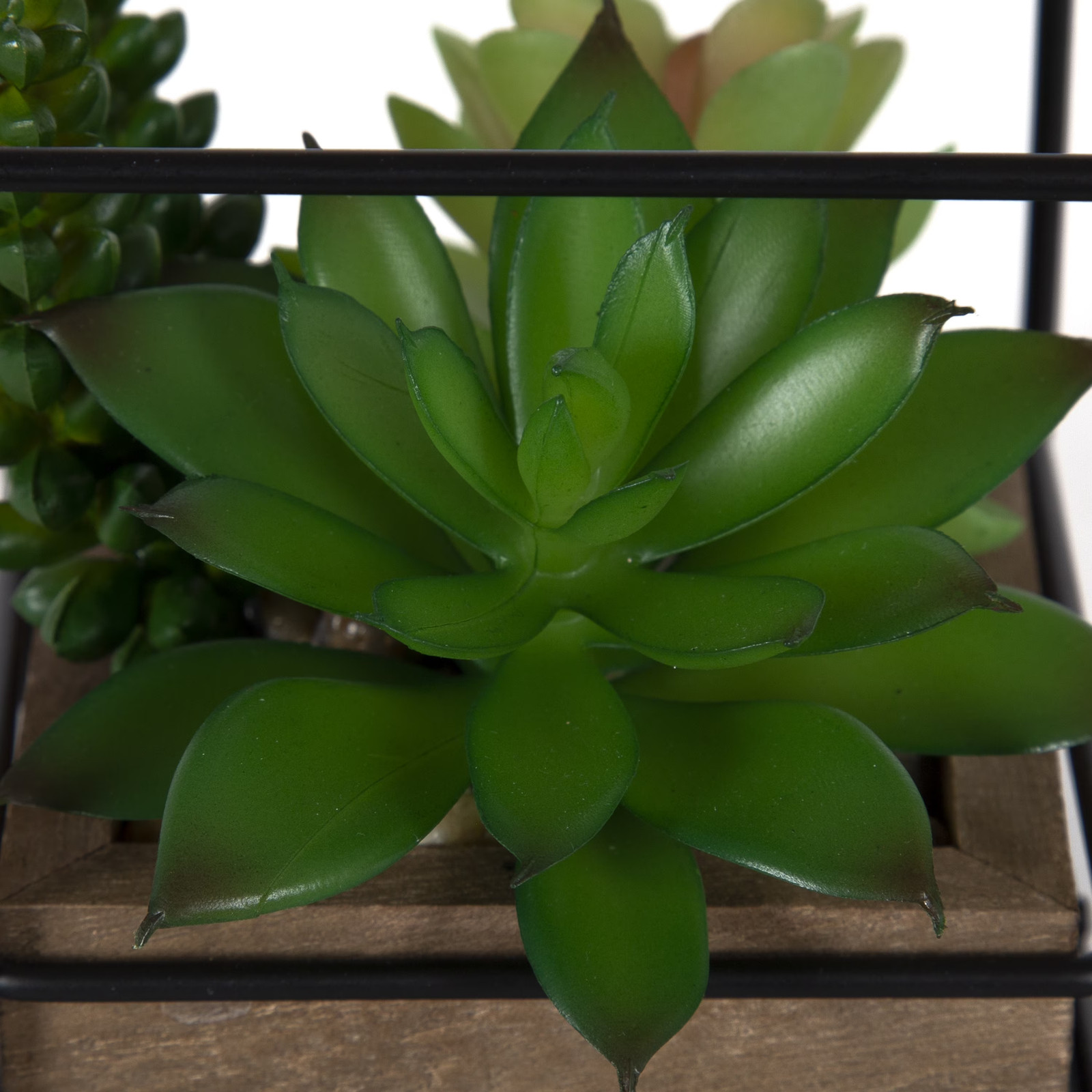 5.5″ Artificial Mixed Succulents in Black Metal House Terrarium