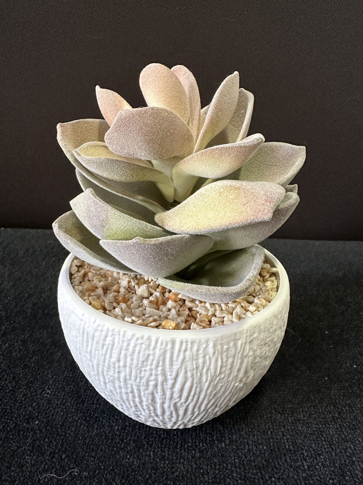 Artificial Succulent Plants in White Ceramic Pot Very Nice Condition