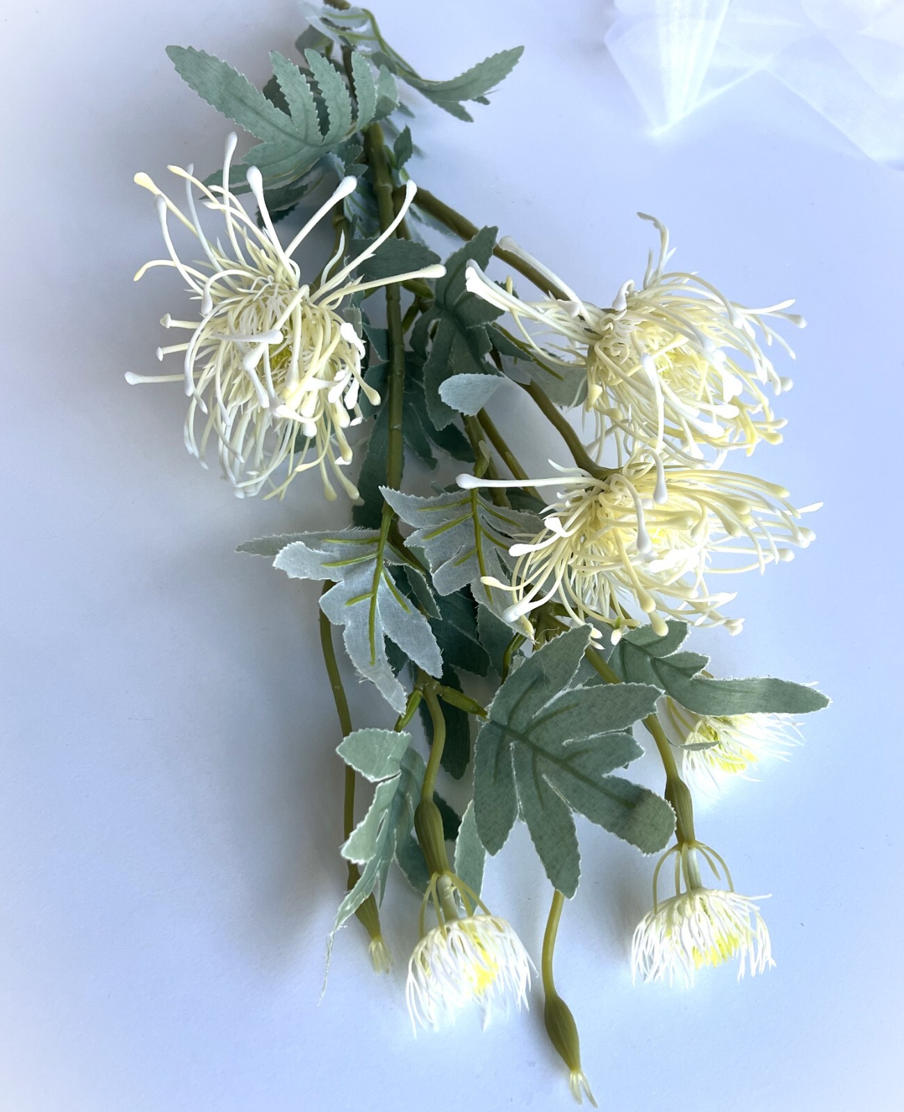 Australian Native Flowers Leucospermum Flower Stem Cream White Faux Silk Plastic